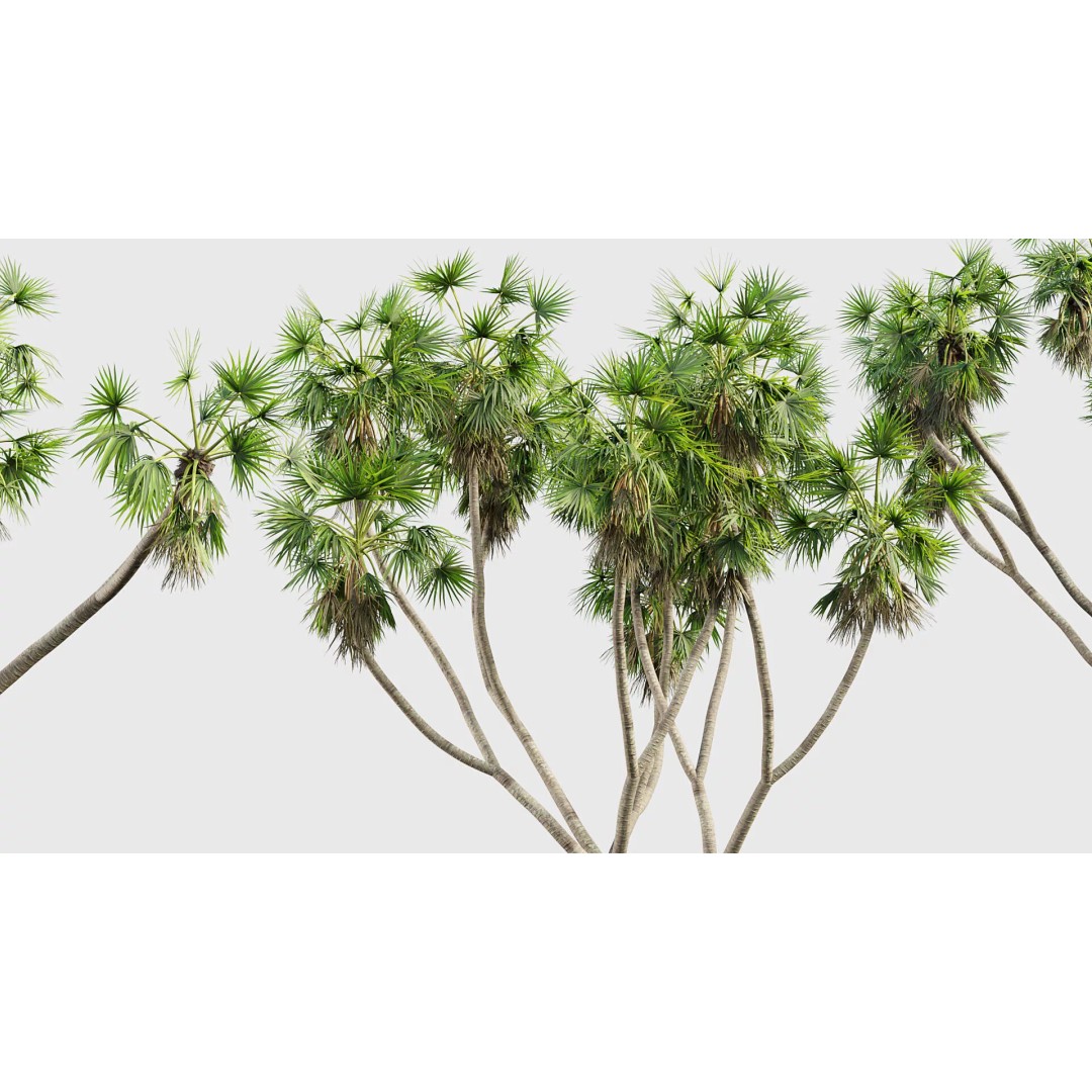 Tropical Desert Plant Collection 3D Model – PBR Game-Ready Assets, FBX - View 41