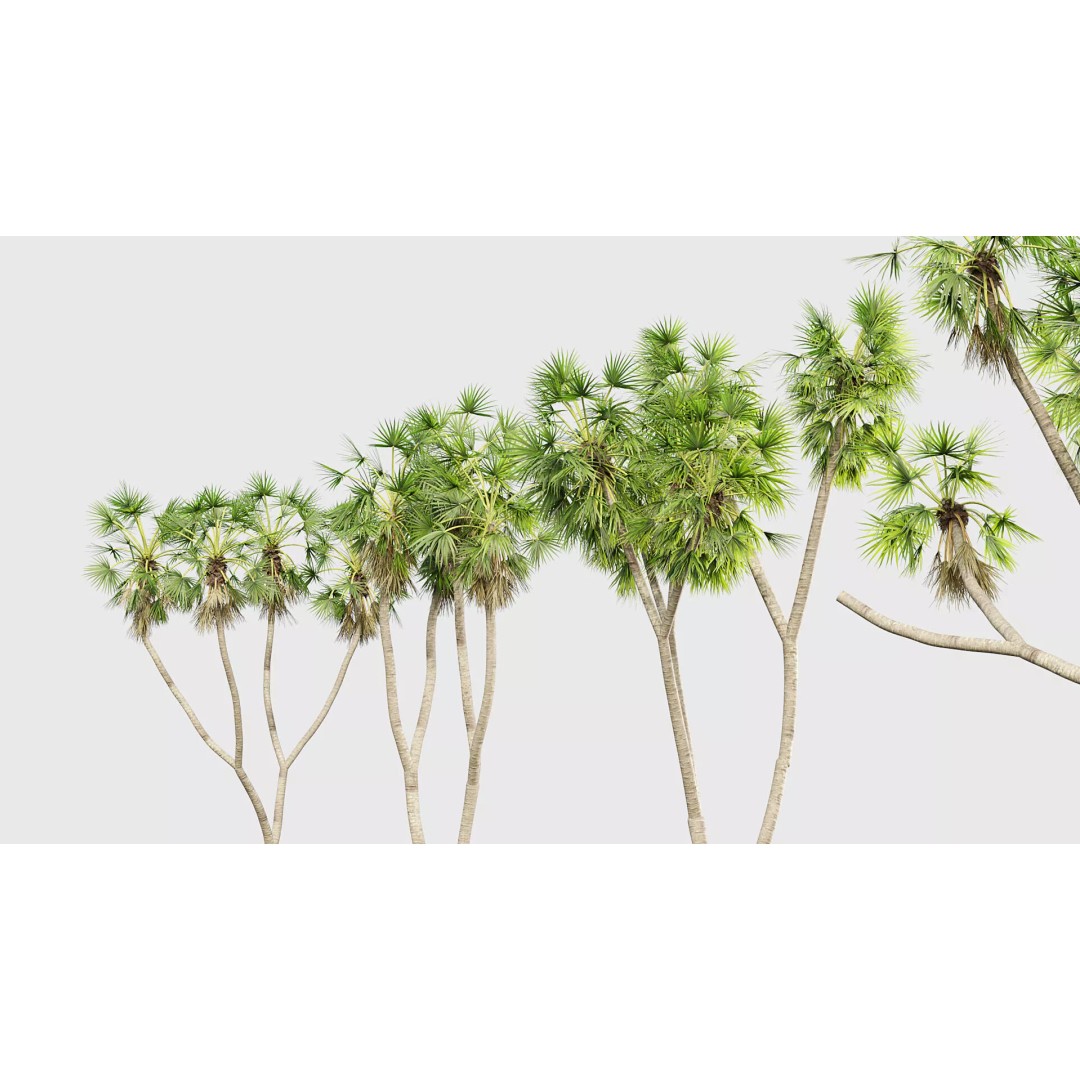 Tropical Desert Plant Collection 3D Model – PBR Game-Ready Assets, FBX - View 42
