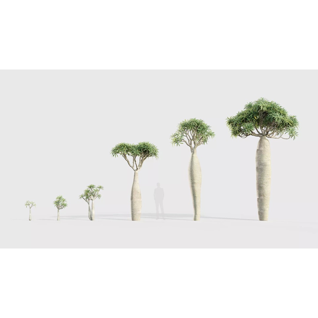 Tropical Desert Plant Collection 3D Model – PBR Game-Ready Assets, FBX - View 43
