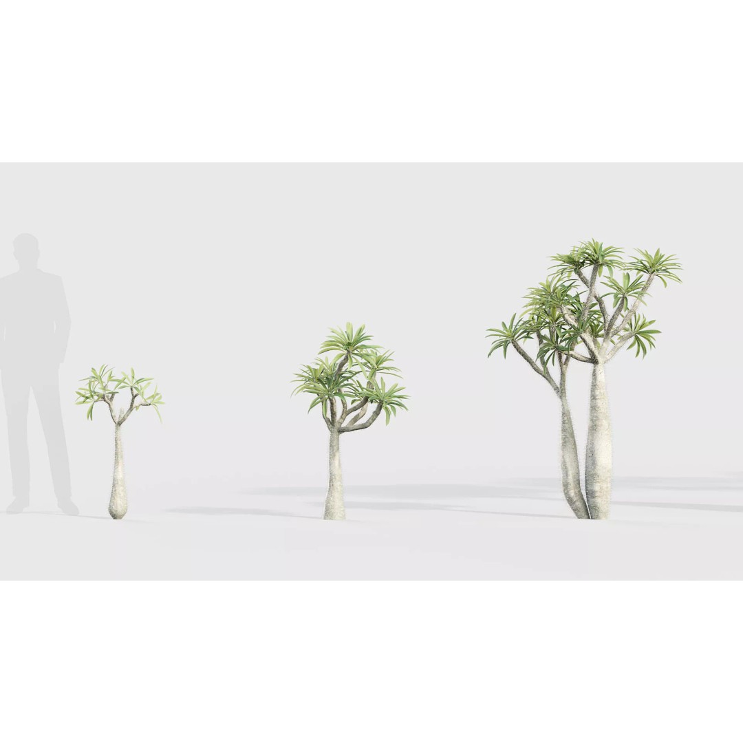 Tropical Desert Plant Collection 3D Model – PBR Game-Ready Assets, FBX - View 44