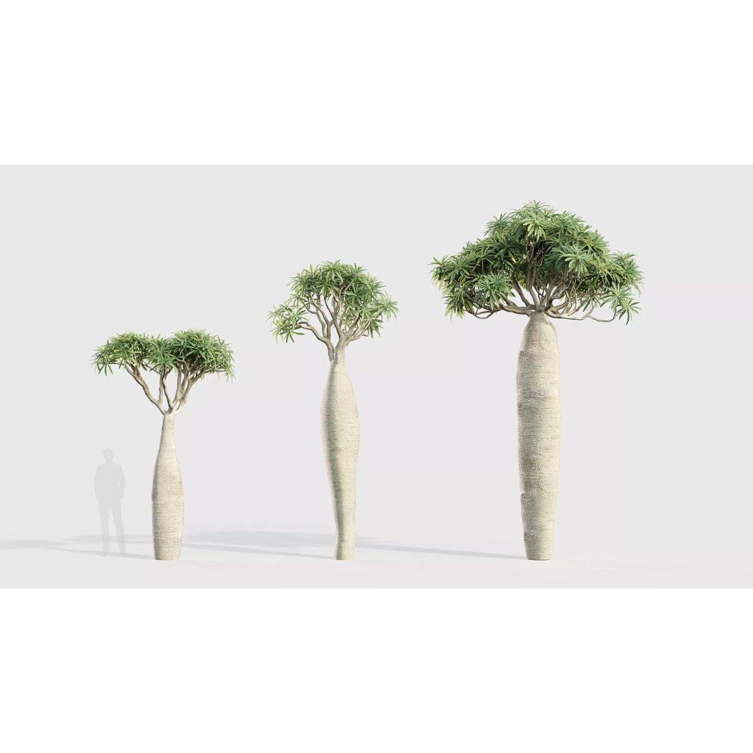 Tropical Desert Plant Collection 3D Model – PBR Game-Ready Assets, FBX - View 45