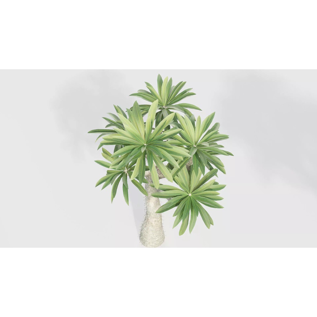 Tropical Desert Plant Collection 3D Model – PBR Game-Ready Assets, FBX - View 46