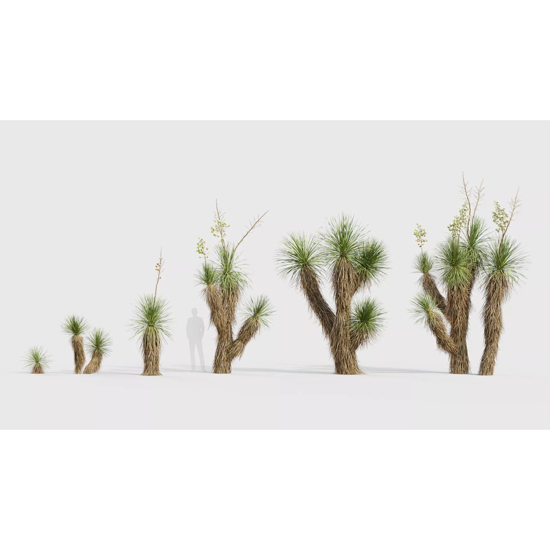 Tropical Desert Plant Collection 3D Model – PBR Game-Ready Assets, FBX - View 48