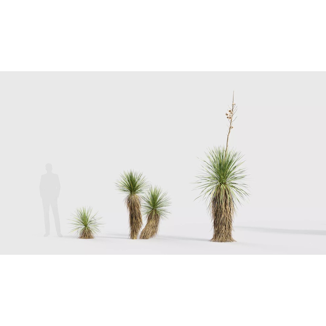 Tropical Desert Plant Collection 3D Model – PBR Game-Ready Assets, FBX - View 49