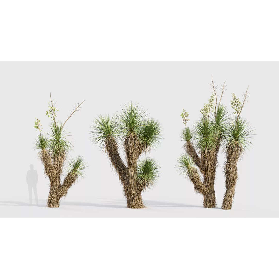 Tropical Desert Plant Collection 3D Model – PBR Game-Ready Assets, FBX - View 50