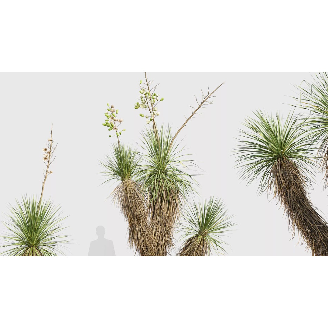 Tropical Desert Plant Collection 3D Model – PBR Game-Ready Assets, FBX - View 51