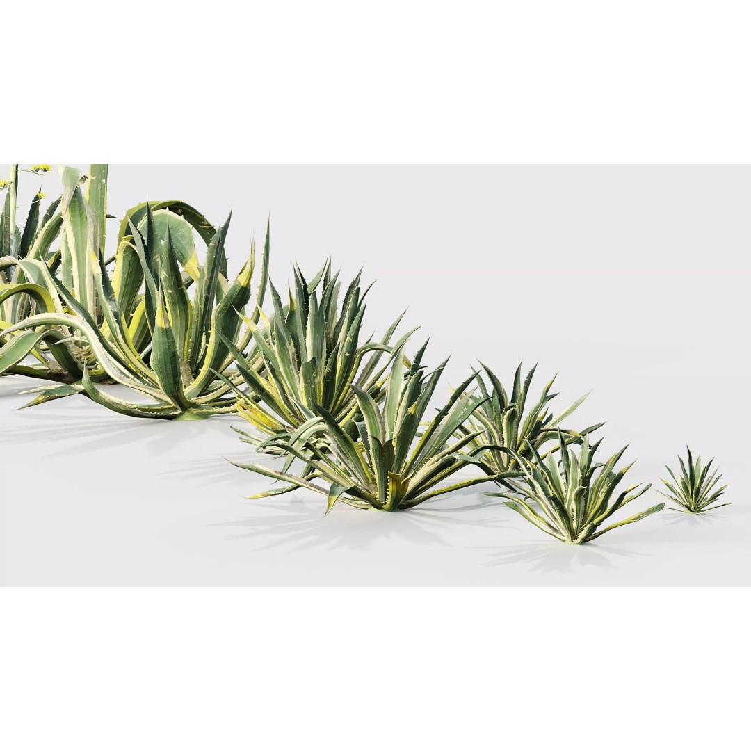 Tropical Desert Plant Collection 3D Model – PBR Game-Ready Assets, FBX - View 7