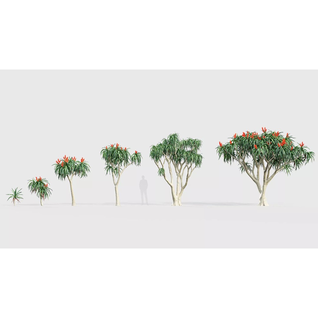 Tropical Desert Plant Collection 3D Model – PBR Game-Ready Assets, FBX - View 8