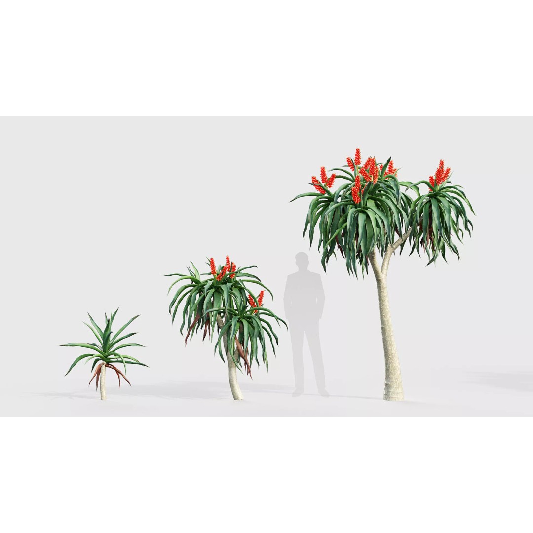 Tropical Desert Plant Collection 3D Model – PBR Game-Ready Assets, FBX - View 9