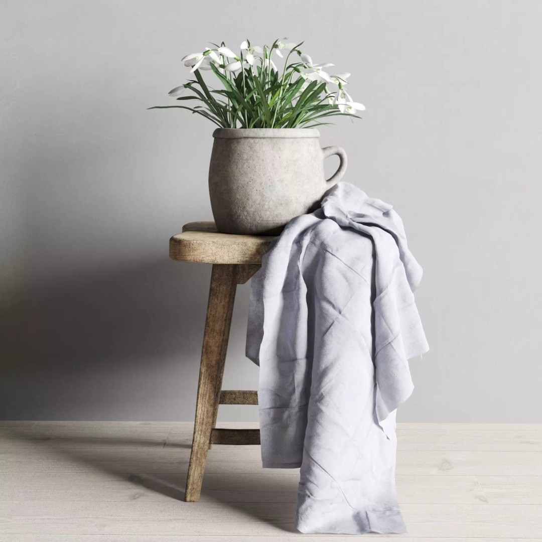 Snowdrops 3D Model – Rustic Spring Decor, PBR Textures, FBX - View 4