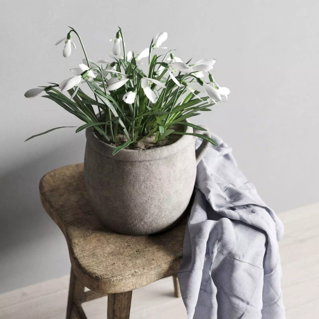 Snowdrops 3D Model – Rustic Spring Decor, PBR Textures, FBX - View 5