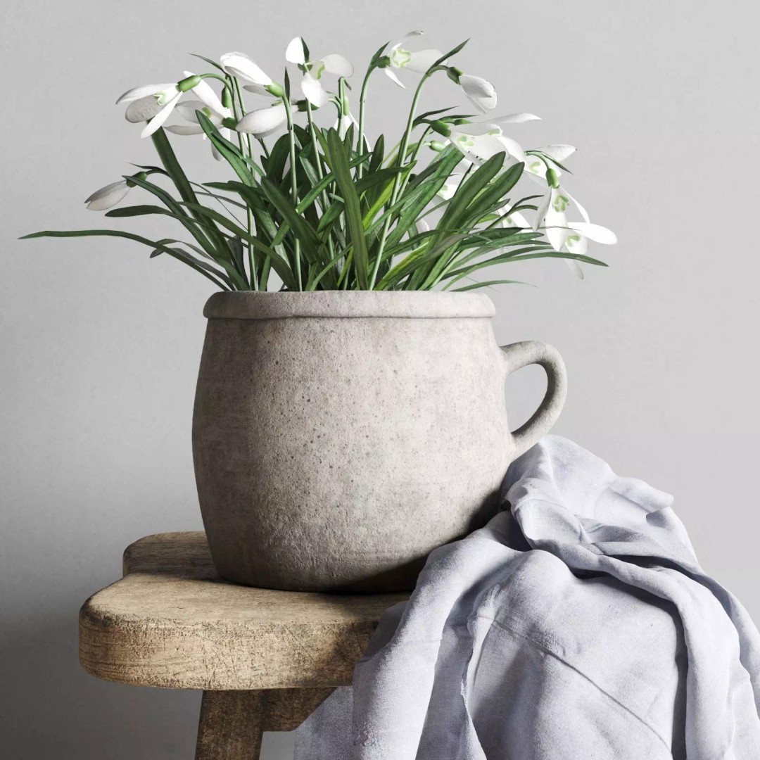 Snowdrops 3D Model – Rustic Spring Decor, PBR Textures, FBX - View 6