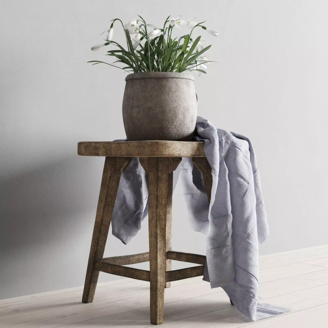 Snowdrops 3D Model – Rustic Spring Decor, PBR Textures, FBX - View 7