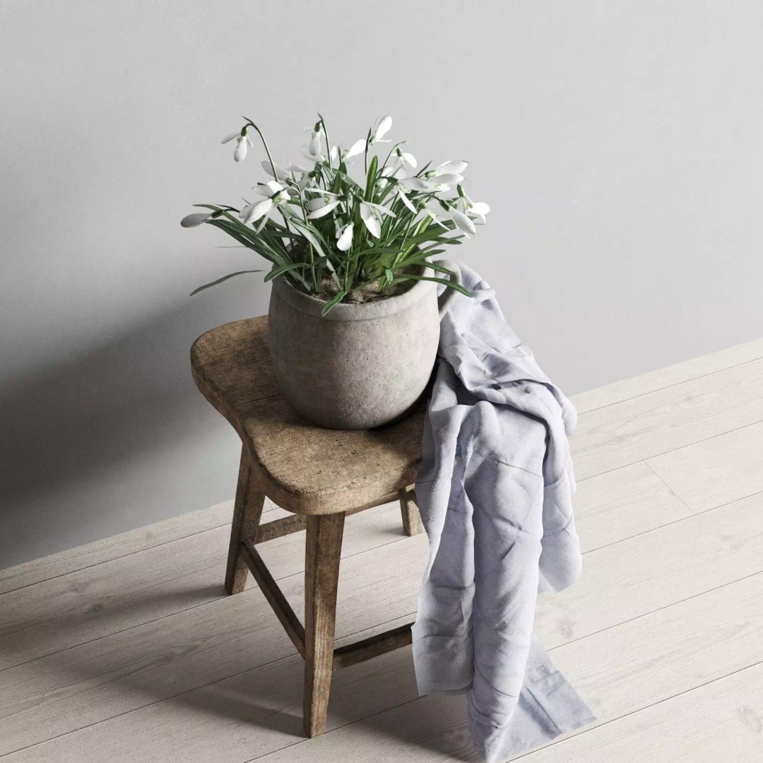 Snowdrops 3D Model – Rustic Spring Decor, PBR Textures, FBX - View 8