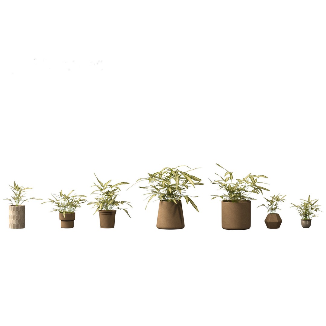 Pteris ensiformis 3D Model – Realistic Pot Plant, FBX, PBR Textures - View 12