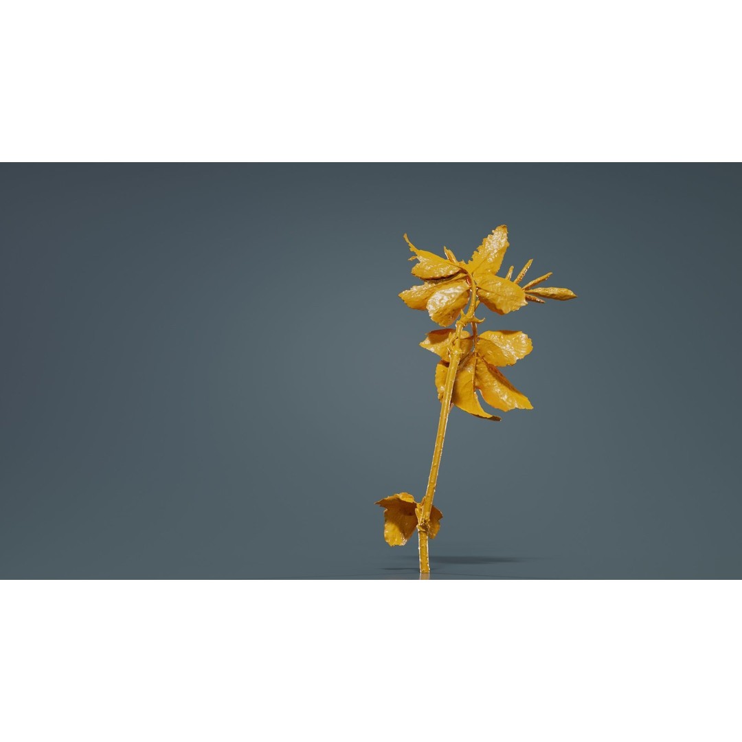 Sambucus Racemosa 3D Model – Low Poly Plant Asset, FBX, Game Ready - View 15