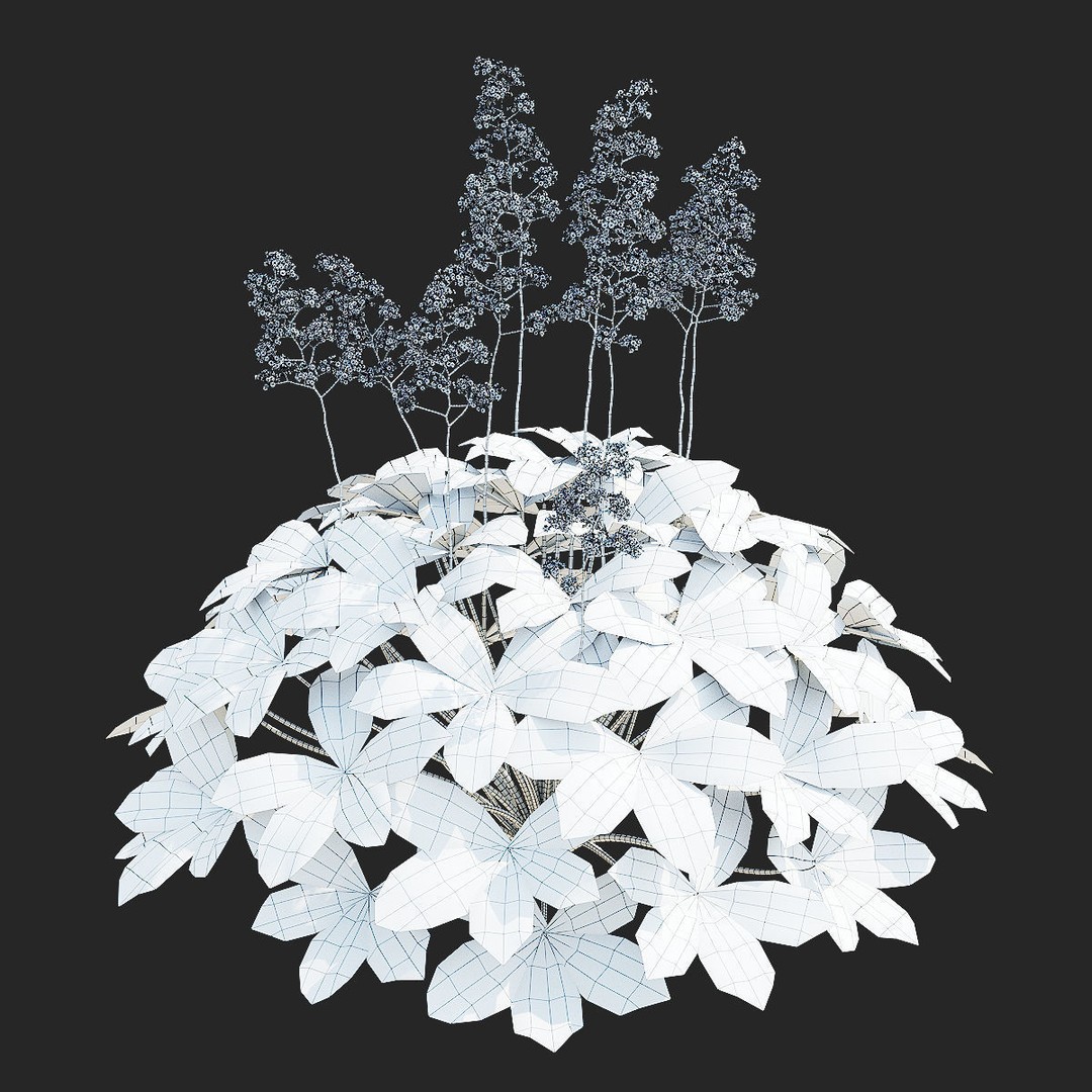 Rodgersia 3D Model – High Poly Plant Asset, FBX, OBJ, PBR