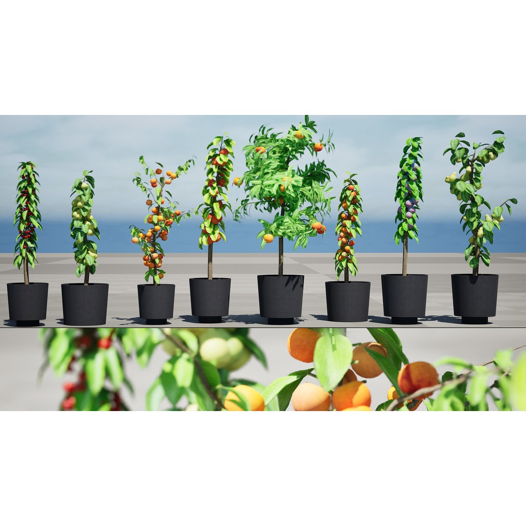 Columnar Fruit Trees 3D Model – Low Poly Urban Garden Asset, FBX, PBR - View 10