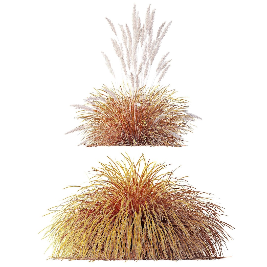 Carex Elata Aurea Grass 3D Model – PBR Textured, FBX & OBJ Formats