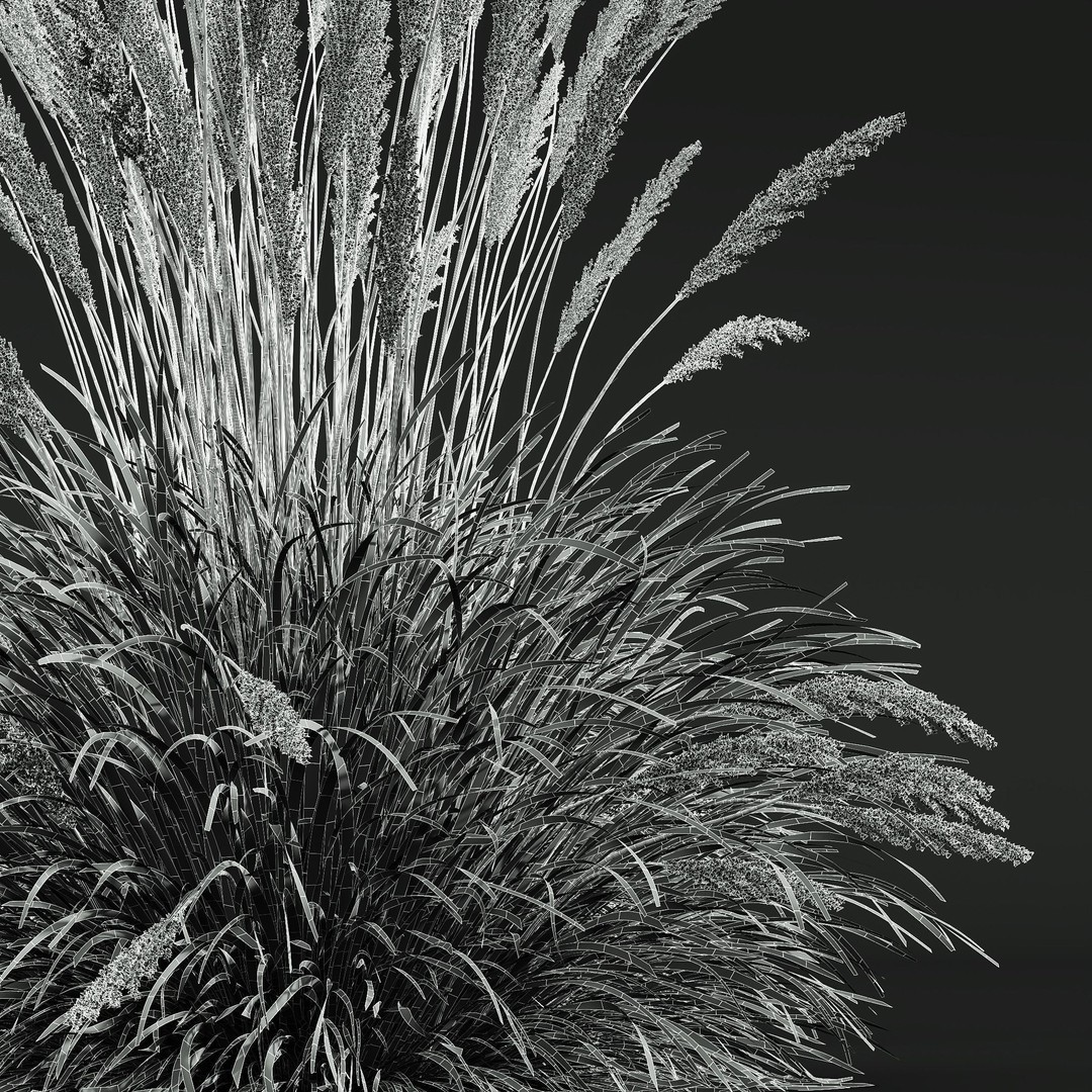 Carex Elata Aurea Grass 3D Model – PBR Textured, FBX & OBJ Formats - View 10