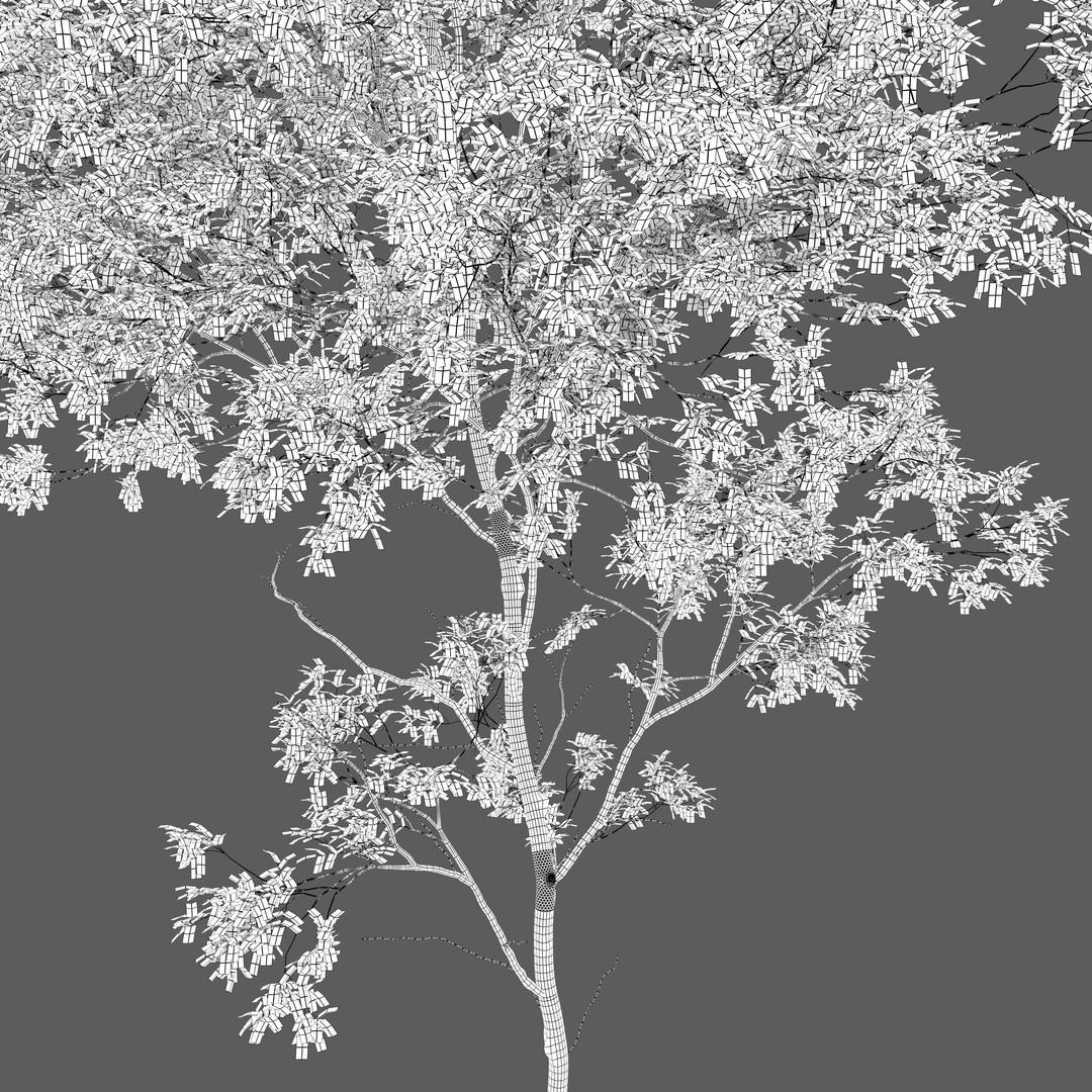 Autumn Forest Trees 3D Model – High Poly PBR Assets, FBX