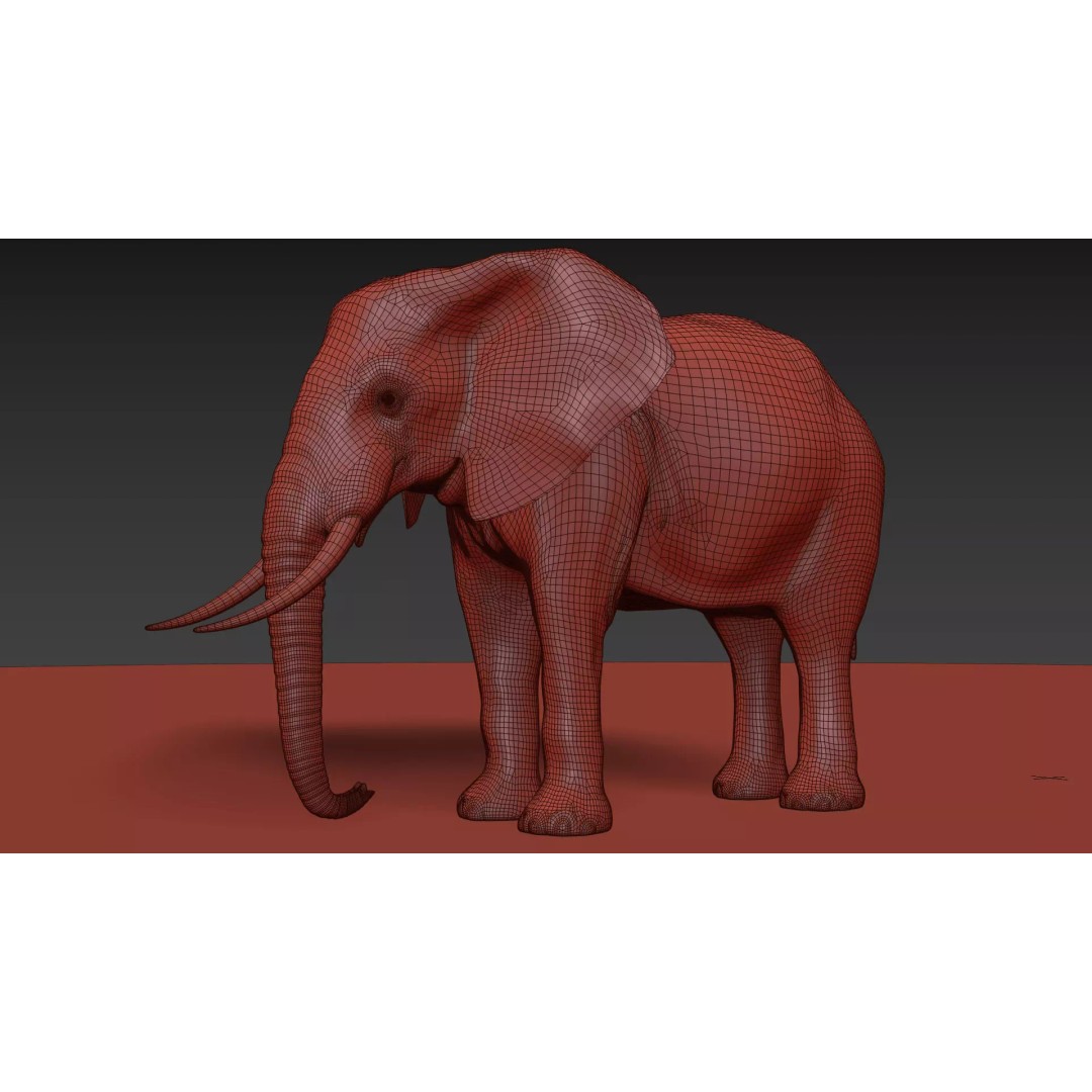 Pro Elephant, Rhino & Hippo 3D Model – High-Detail Animated Assets, FBX - View 19
