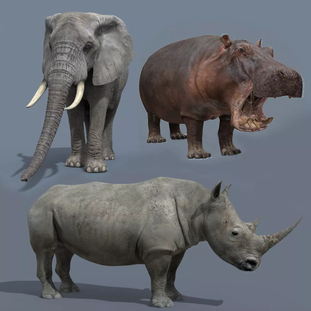 Pro Elephant, Rhino & Hippo 3D Model – High-Detail Animated Assets, FBX - View 2