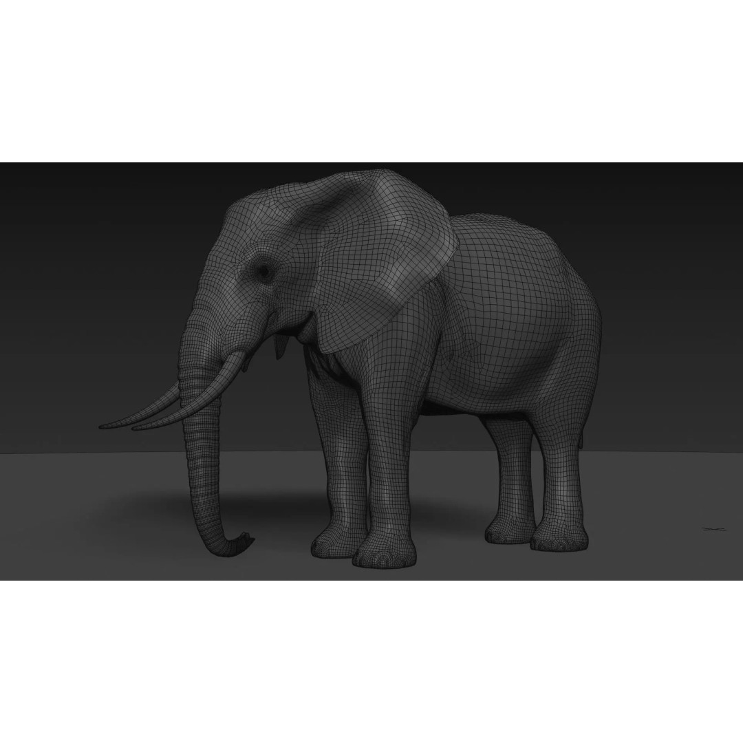 Pro Elephant, Rhino & Hippo 3D Model – High-Detail Animated Assets, FBX - View 20