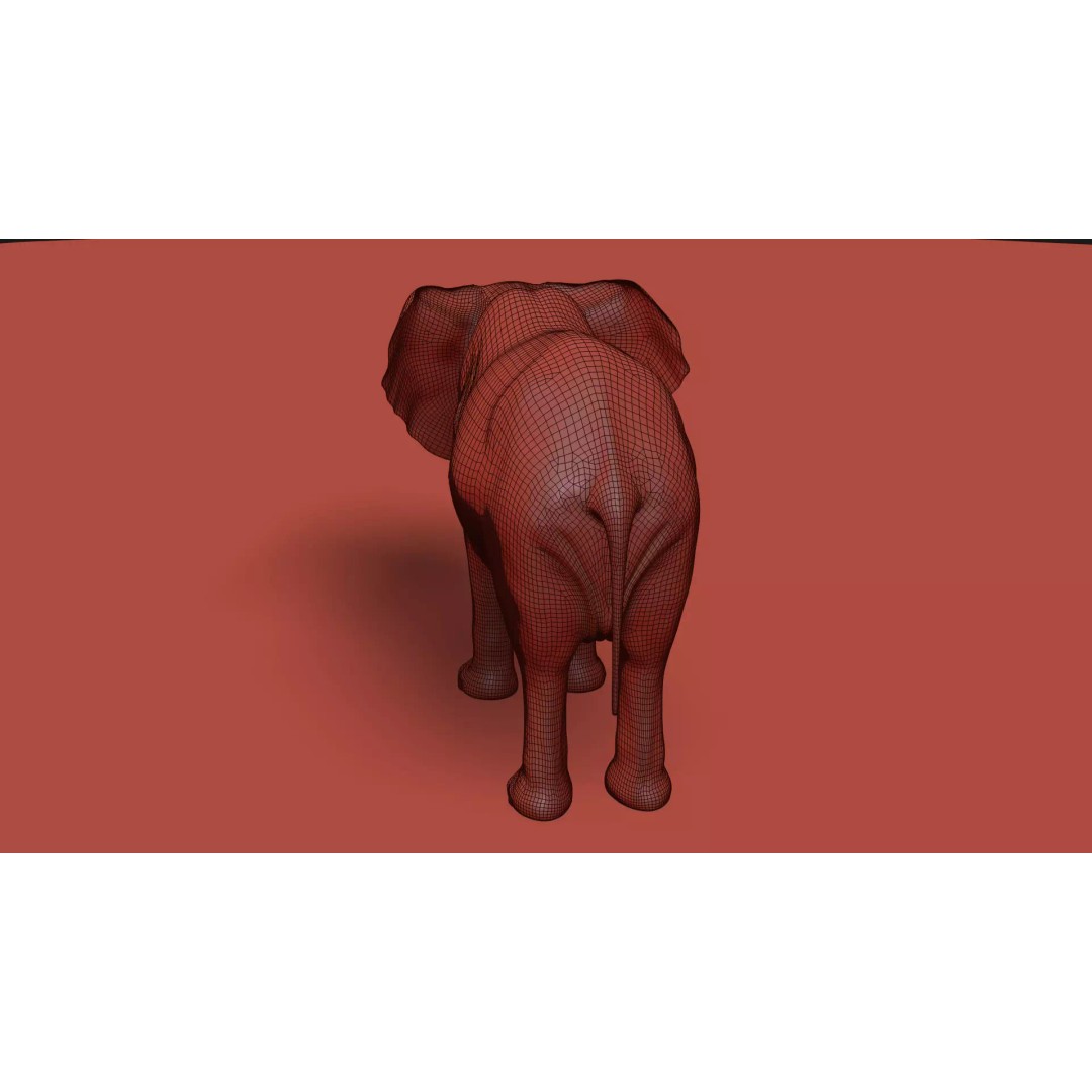 Pro Elephant, Rhino & Hippo 3D Model – High-Detail Animated Assets, FBX - View 21