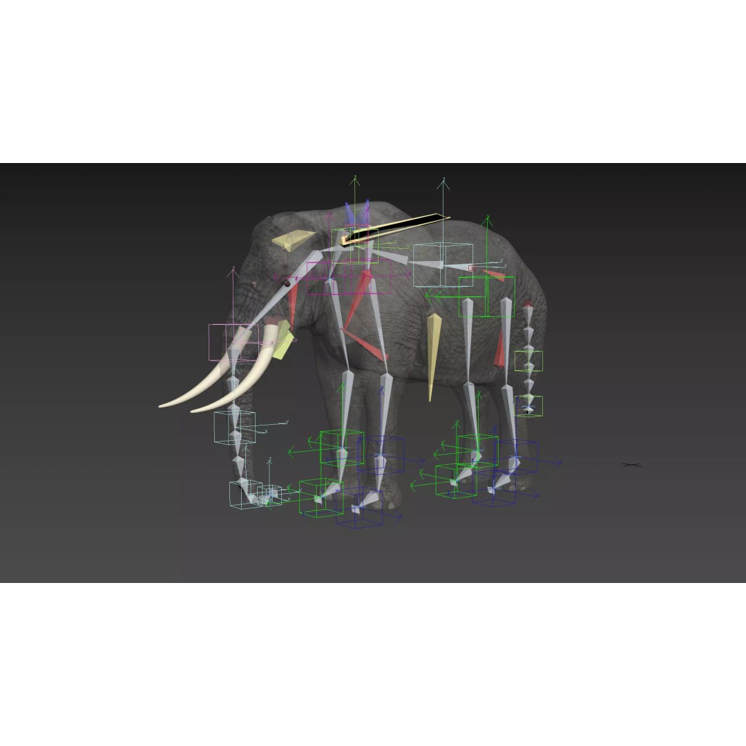 Pro Elephant, Rhino & Hippo 3D Model – High-Detail Animated Assets, FBX - View 22