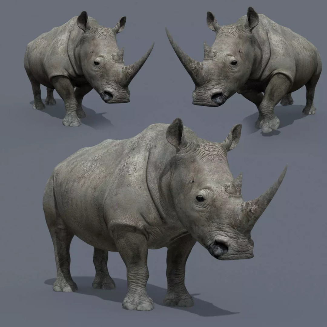 Pro Elephant, Rhino & Hippo 3D Model – High-Detail Animated Assets, FBX - View 23