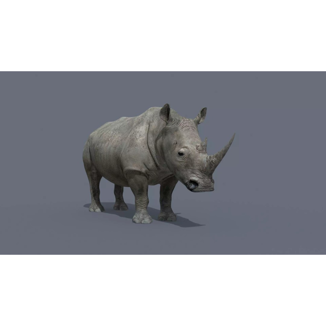 Pro Elephant, Rhino & Hippo 3D Model – High-Detail Animated Assets, FBX - View 24
