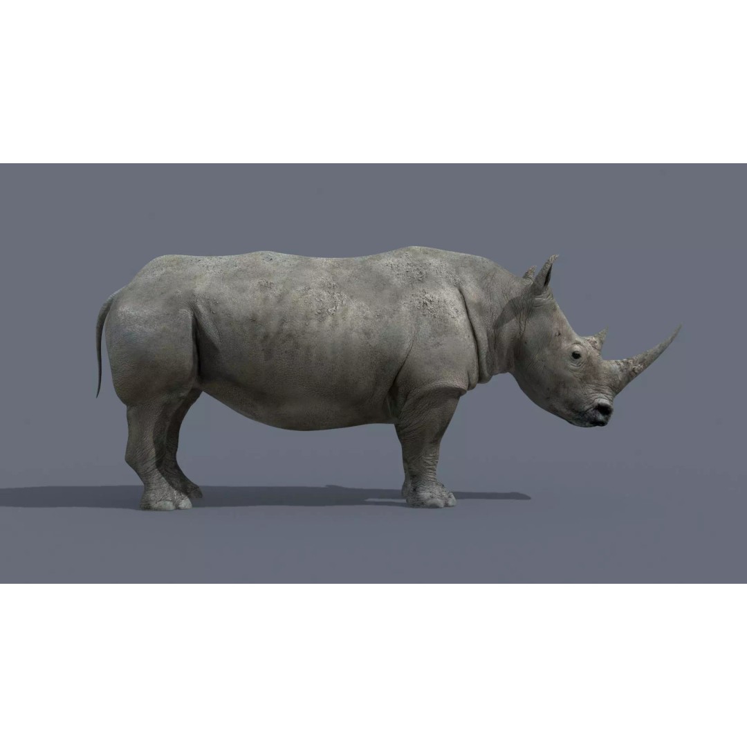 Pro Elephant, Rhino & Hippo 3D Model – High-Detail Animated Assets, FBX - View 25