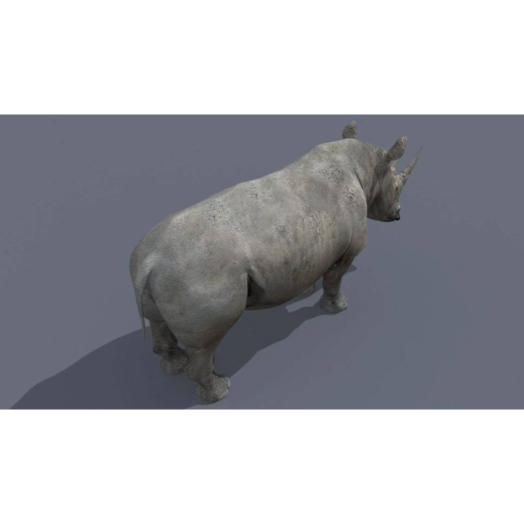 Pro Elephant, Rhino & Hippo 3D Model – High-Detail Animated Assets, FBX - View 26