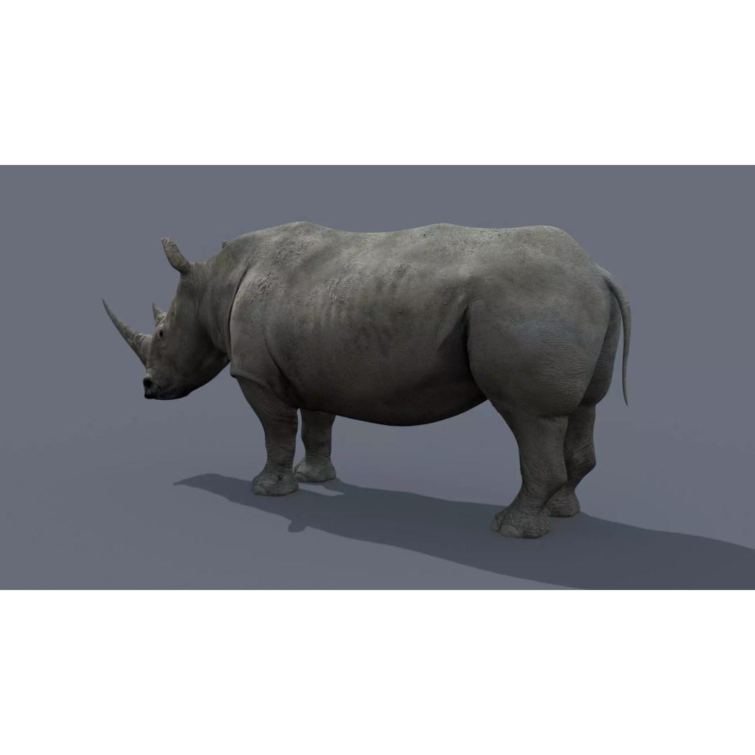Pro Elephant, Rhino & Hippo 3D Model – High-Detail Animated Assets, FBX - View 30