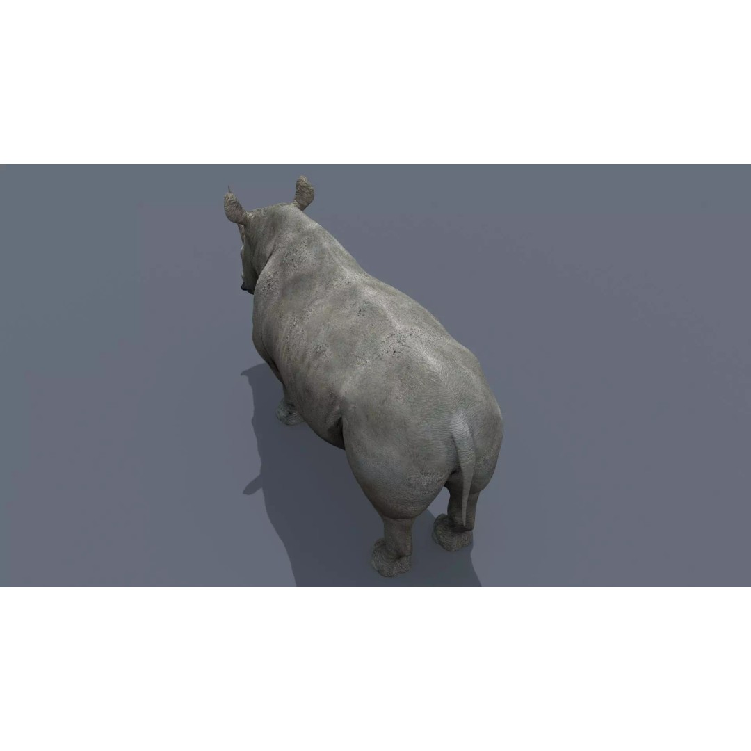 Pro Elephant, Rhino & Hippo 3D Model – High-Detail Animated Assets, FBX - View 31
