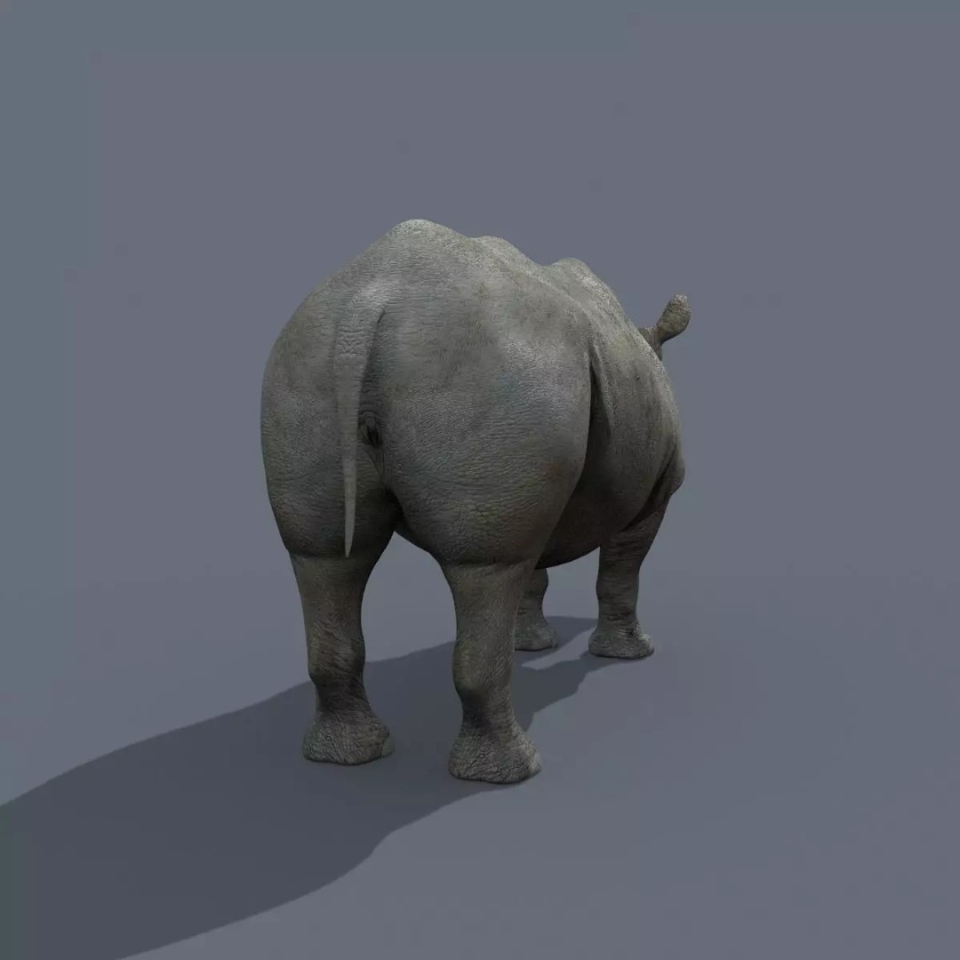 Pro Elephant, Rhino & Hippo 3D Model – High-Detail Animated Assets, FBX - View 32