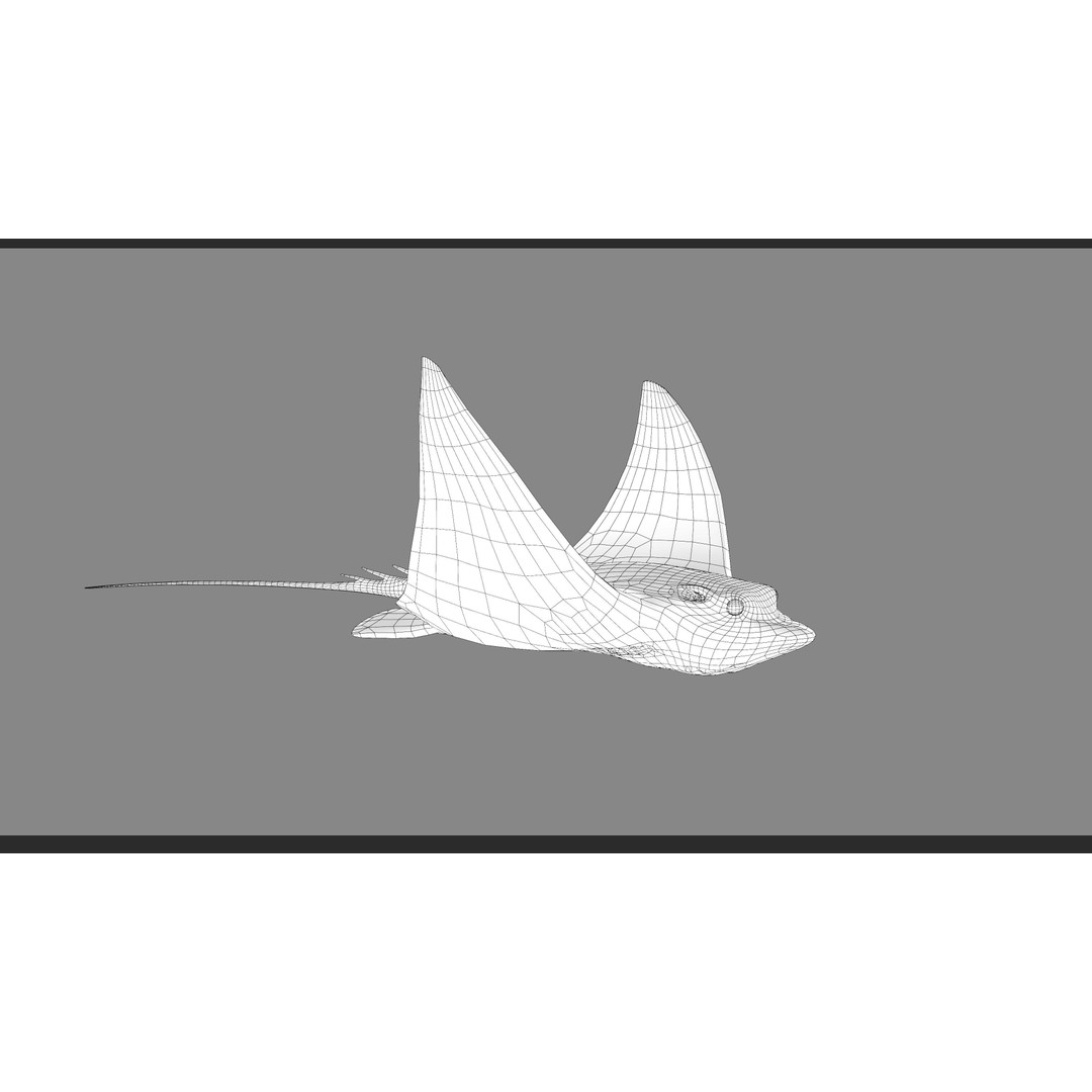 Spotted Eagle Ray 3D Model – Low Poly Rigged Fish with Animations - View 27