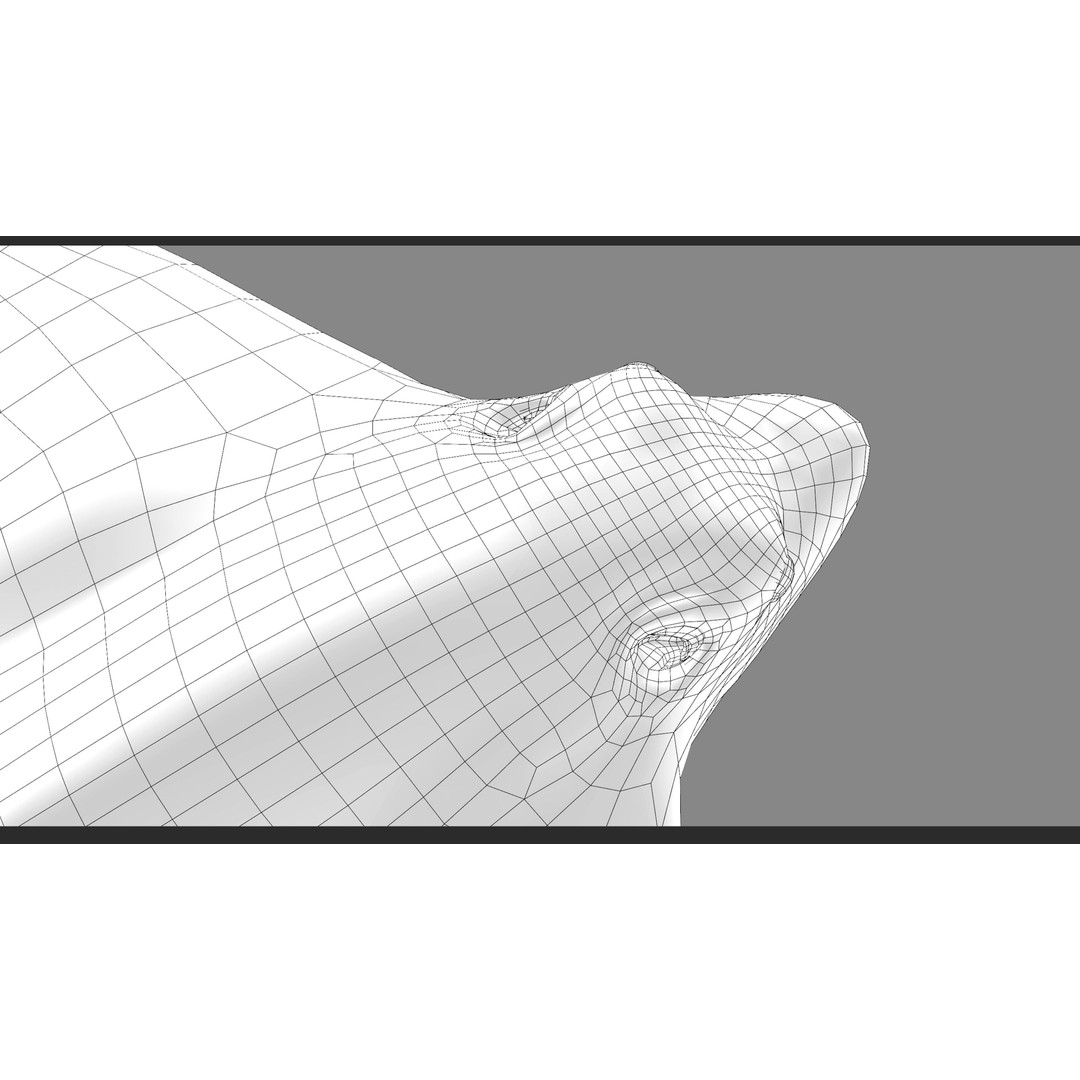 Spotted Eagle Ray 3D Model – Low Poly Rigged Fish with Animations - View 28