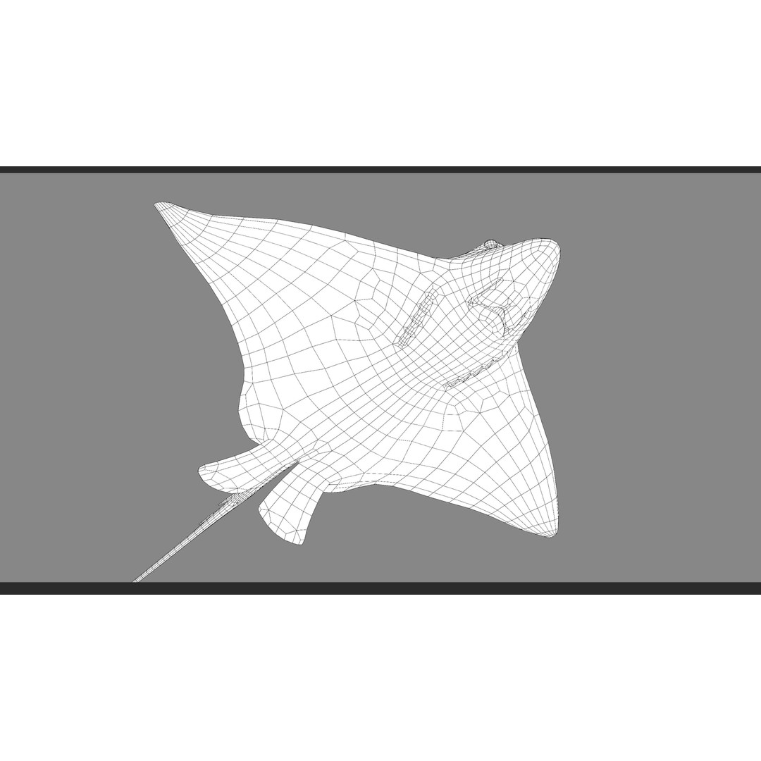 Spotted Eagle Ray 3D Model – Low Poly Rigged Fish with Animations - View 29