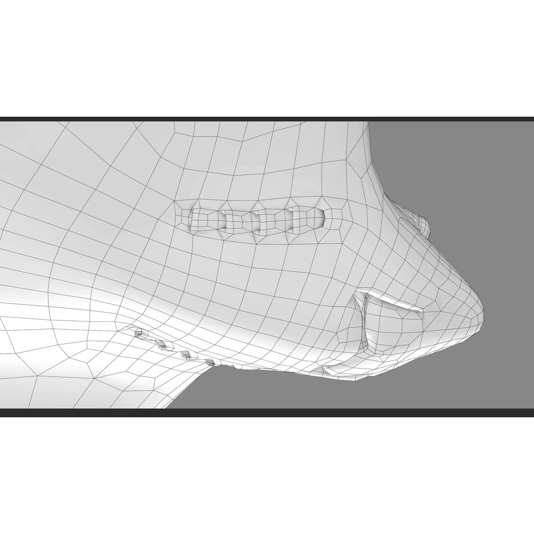 Spotted Eagle Ray 3D Model – Low Poly Rigged Fish with Animations - View 30