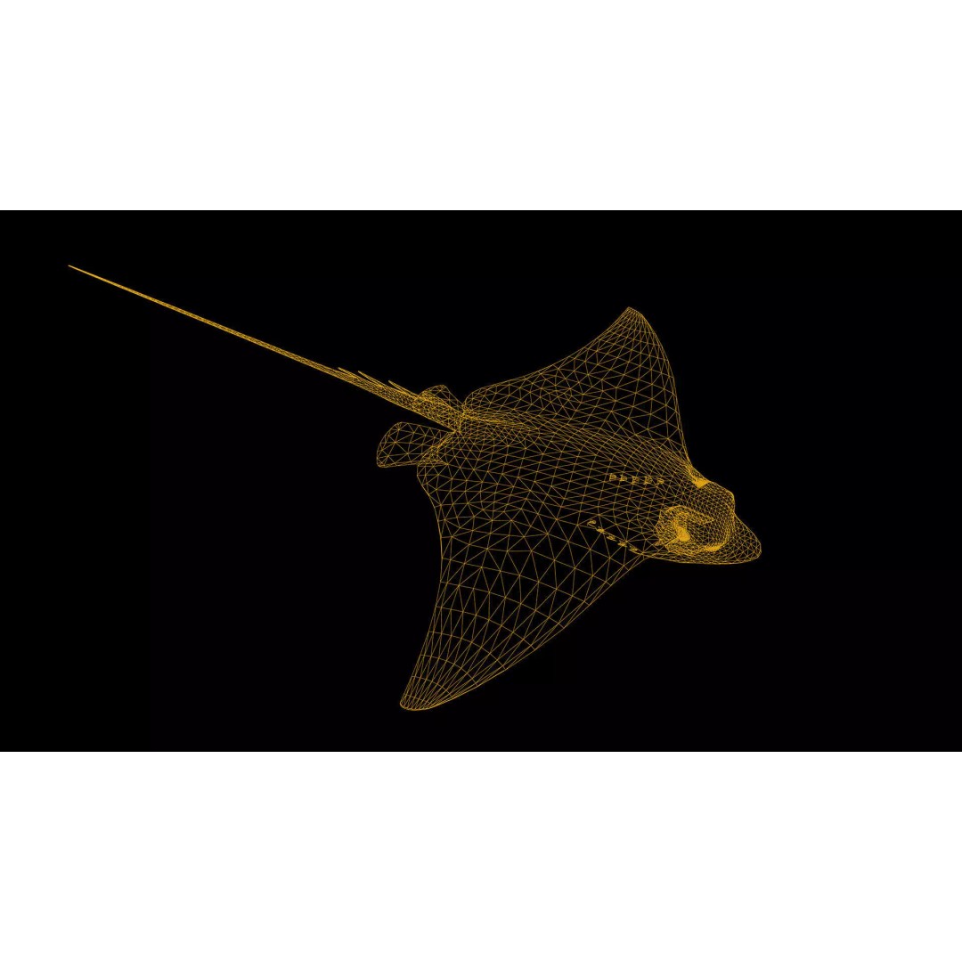 Spotted Eagle Ray 3D Model – Low Poly Rigged Fish with Animations - View 43
