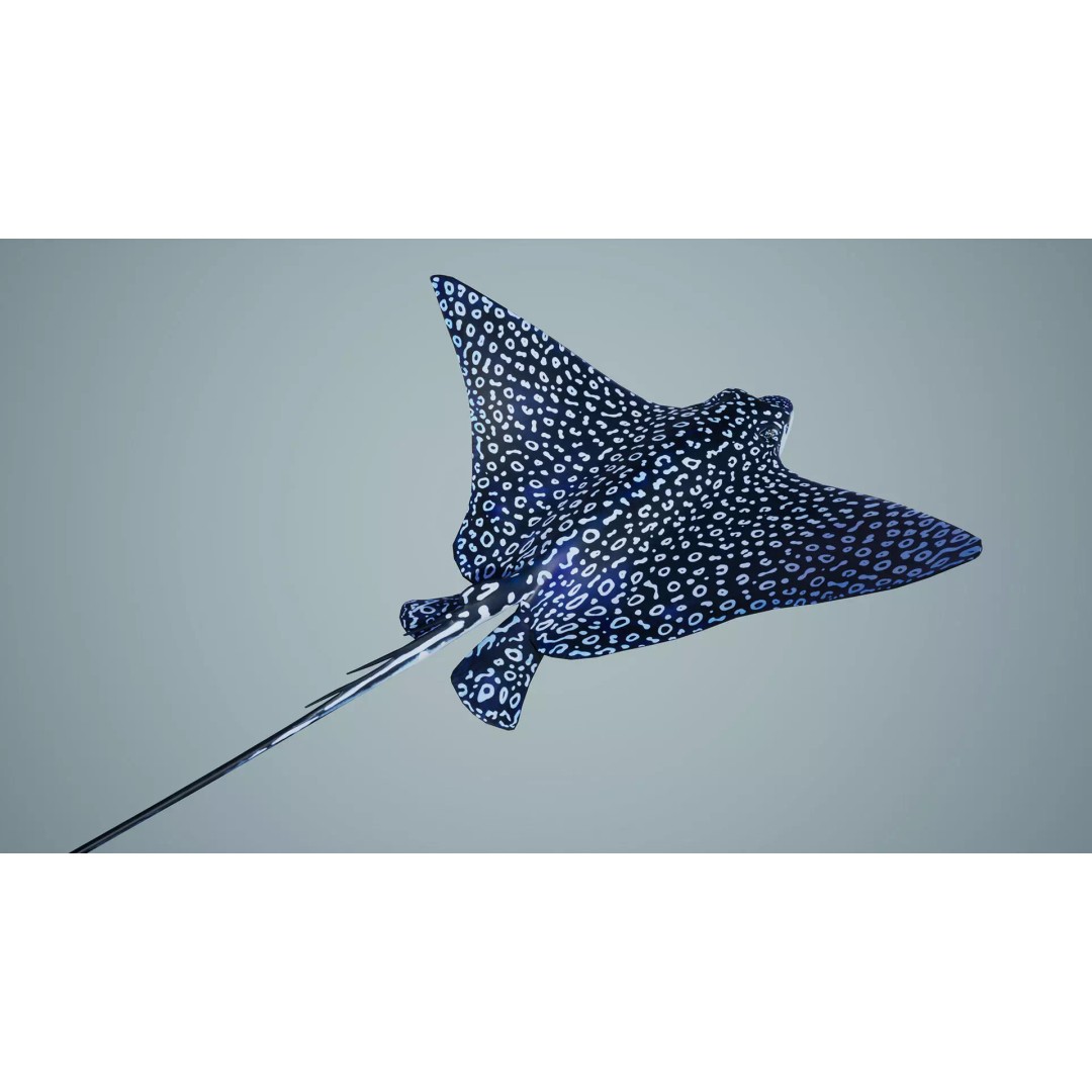 Spotted Eagle Ray 3D Model – Low Poly Rigged Fish with Animations - View 7