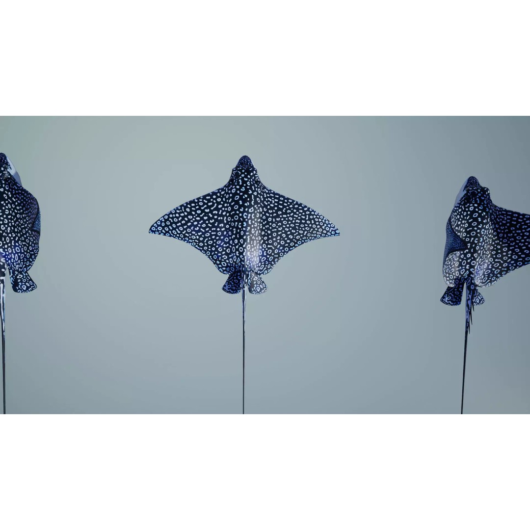 Spotted Eagle Ray 3D Model – Low Poly Rigged Fish with Animations - View 9