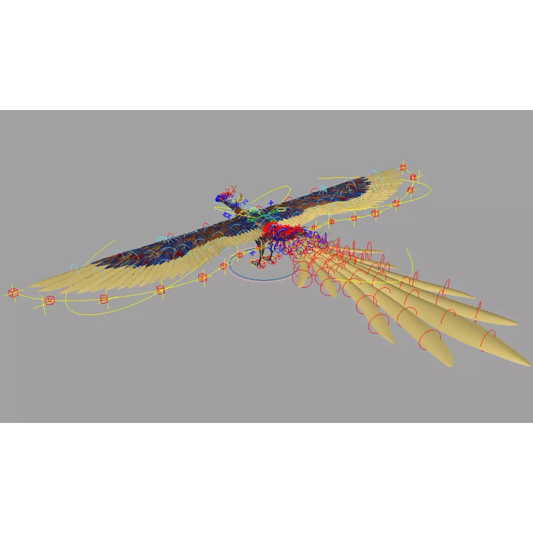 Phoenix 3D Model – Detailed Rigged Bird Asset, FBX, OBJ - View 13