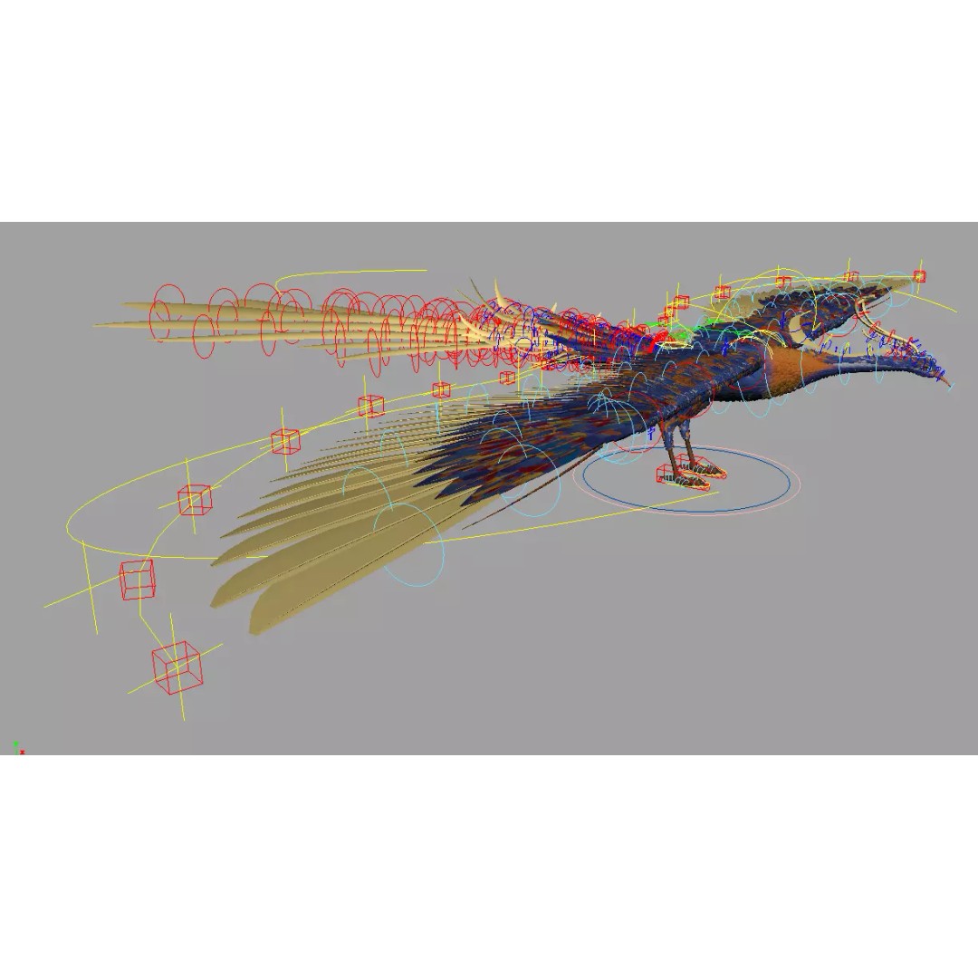 Phoenix 3D Model – Detailed Rigged Bird Asset, FBX, OBJ - View 14