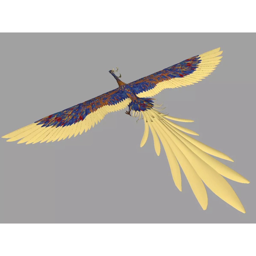 Phoenix 3D Model – Detailed Rigged Bird Asset, FBX, OBJ - View 2
