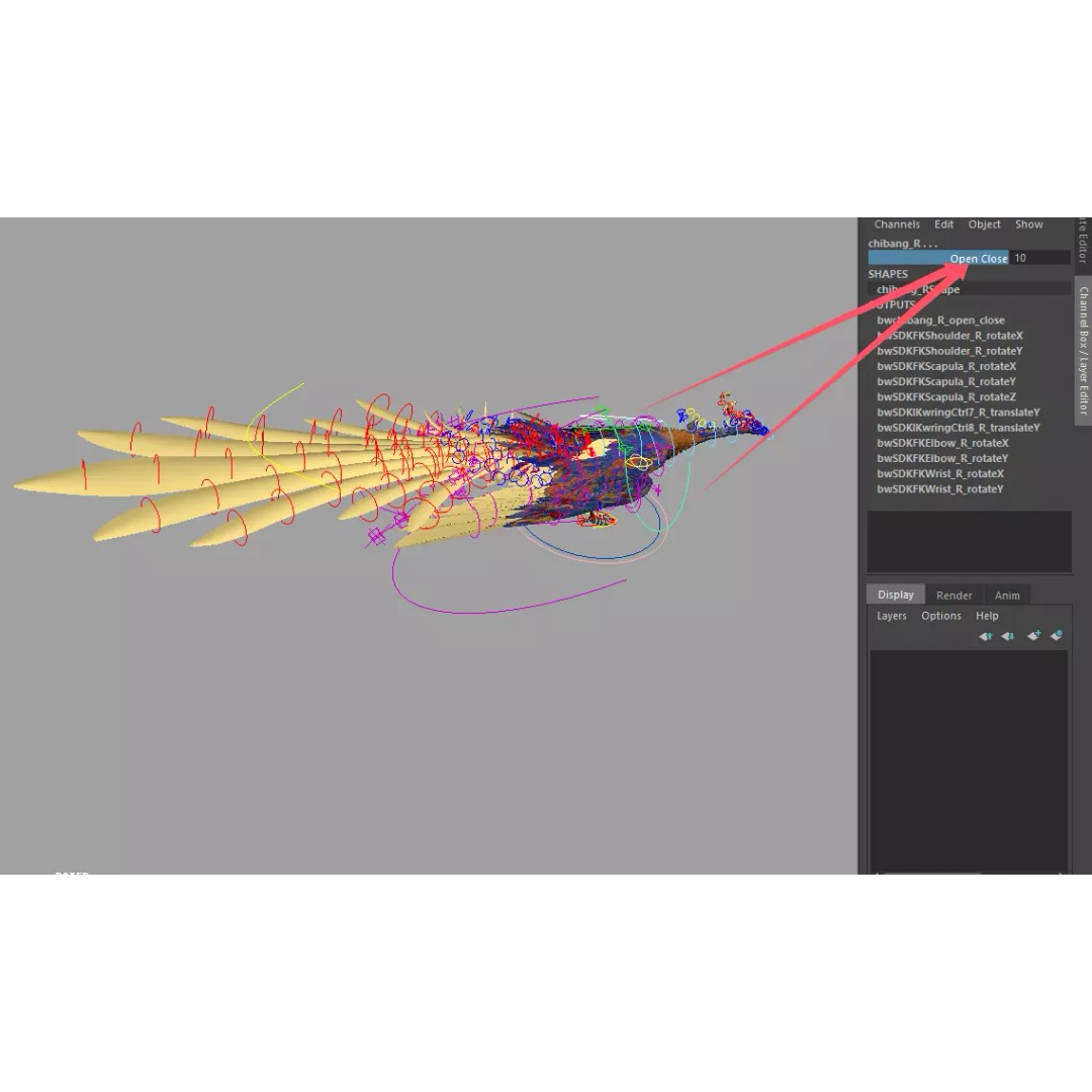 Phoenix 3D Model – Detailed Rigged Bird Asset, FBX, OBJ - View 4
