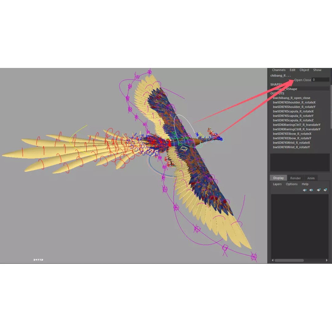 Phoenix 3D Model – Detailed Rigged Bird Asset, FBX, OBJ - View 5