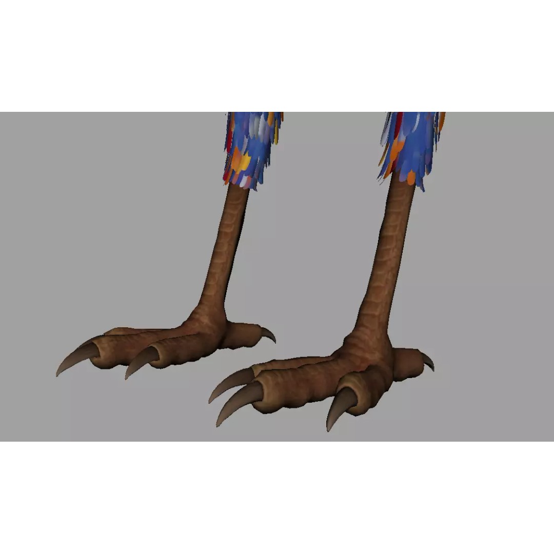 Phoenix 3D Model – Detailed Rigged Bird Asset, FBX, OBJ - View 9